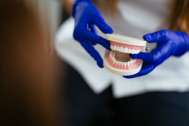 Dental X-Rays and Imaging in Troy, OH